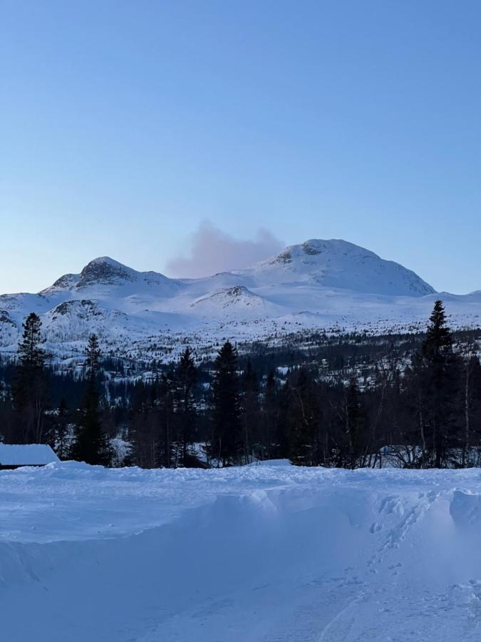 Brand New Cabin On The Sunny Side Of Gaustatoppen With A Great View Tuddal Eksteriør billede