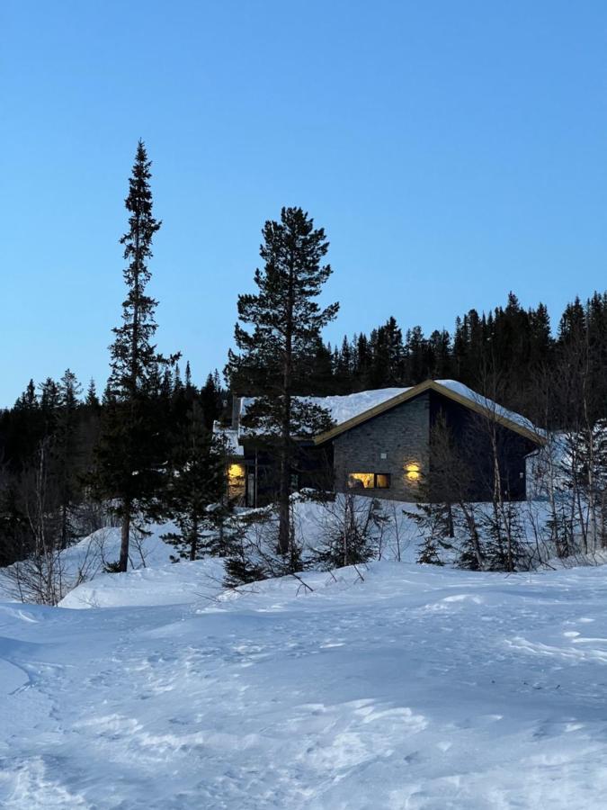 Brand New Cabin On The Sunny Side Of Gaustatoppen With A Great View Tuddal Eksteriør billede