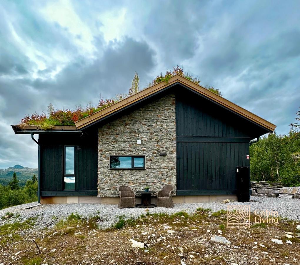 Brand New Cabin On The Sunny Side Of Gaustatoppen With A Great View Tuddal Eksteriør billede