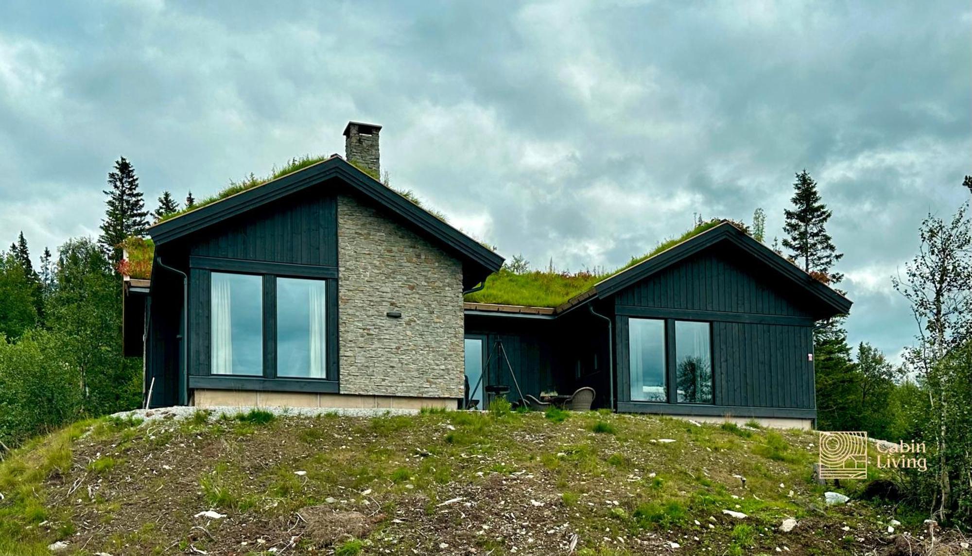 Brand New Cabin On The Sunny Side Of Gaustatoppen With A Great View Tuddal Eksteriør billede