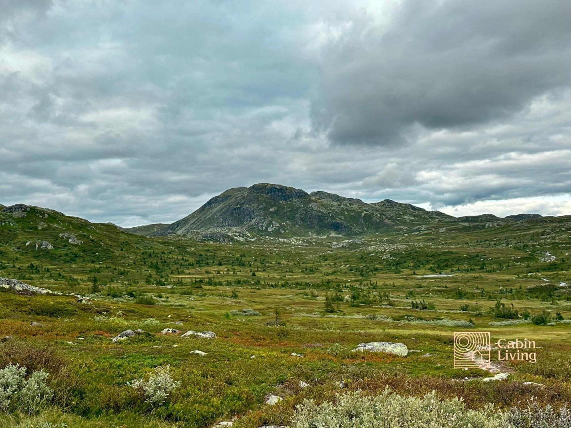 Brand New Cabin On The Sunny Side Of Gaustatoppen With A Great View Tuddal Eksteriør billede