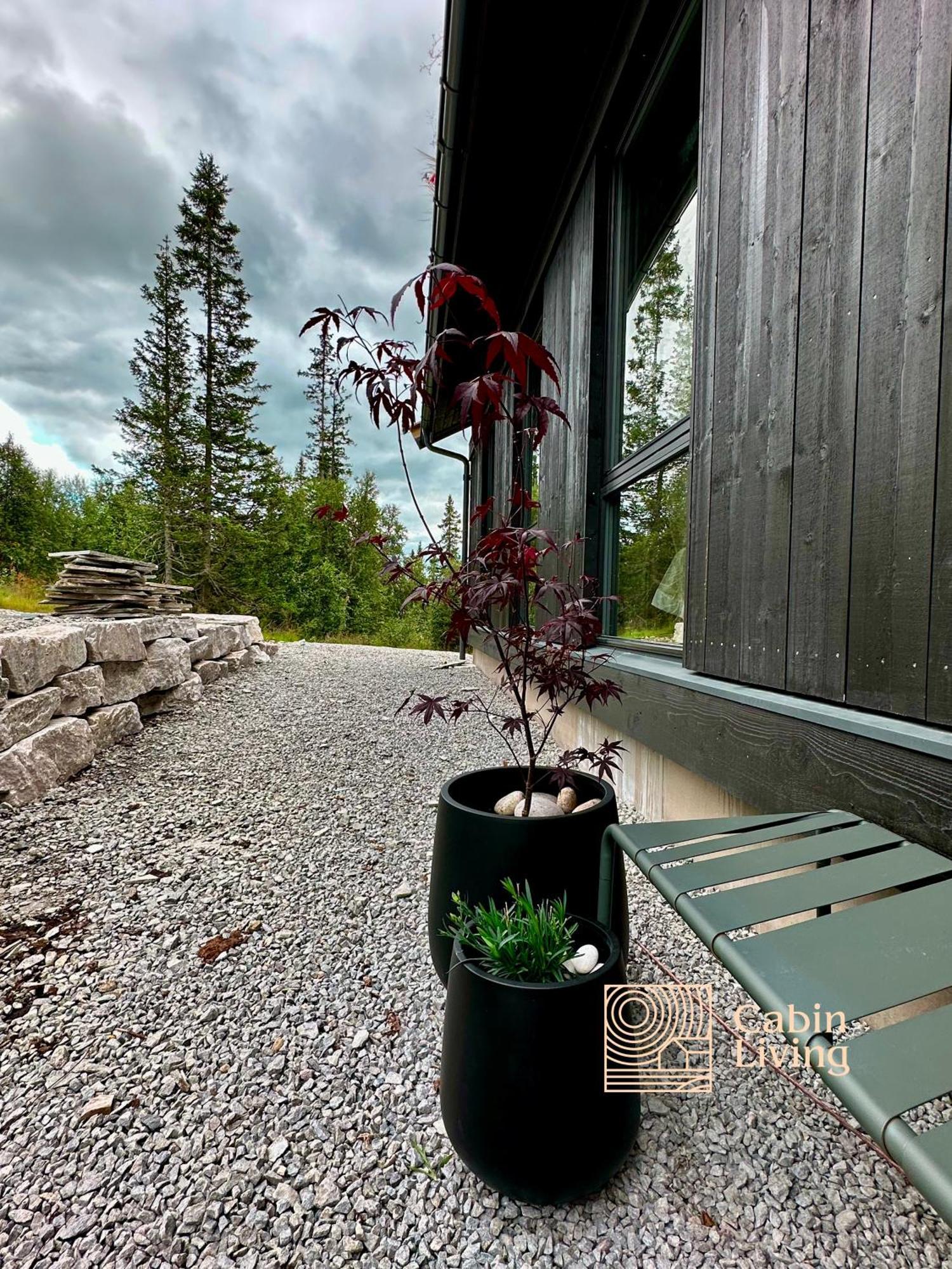 Brand New Cabin On The Sunny Side Of Gaustatoppen With A Great View Tuddal Eksteriør billede