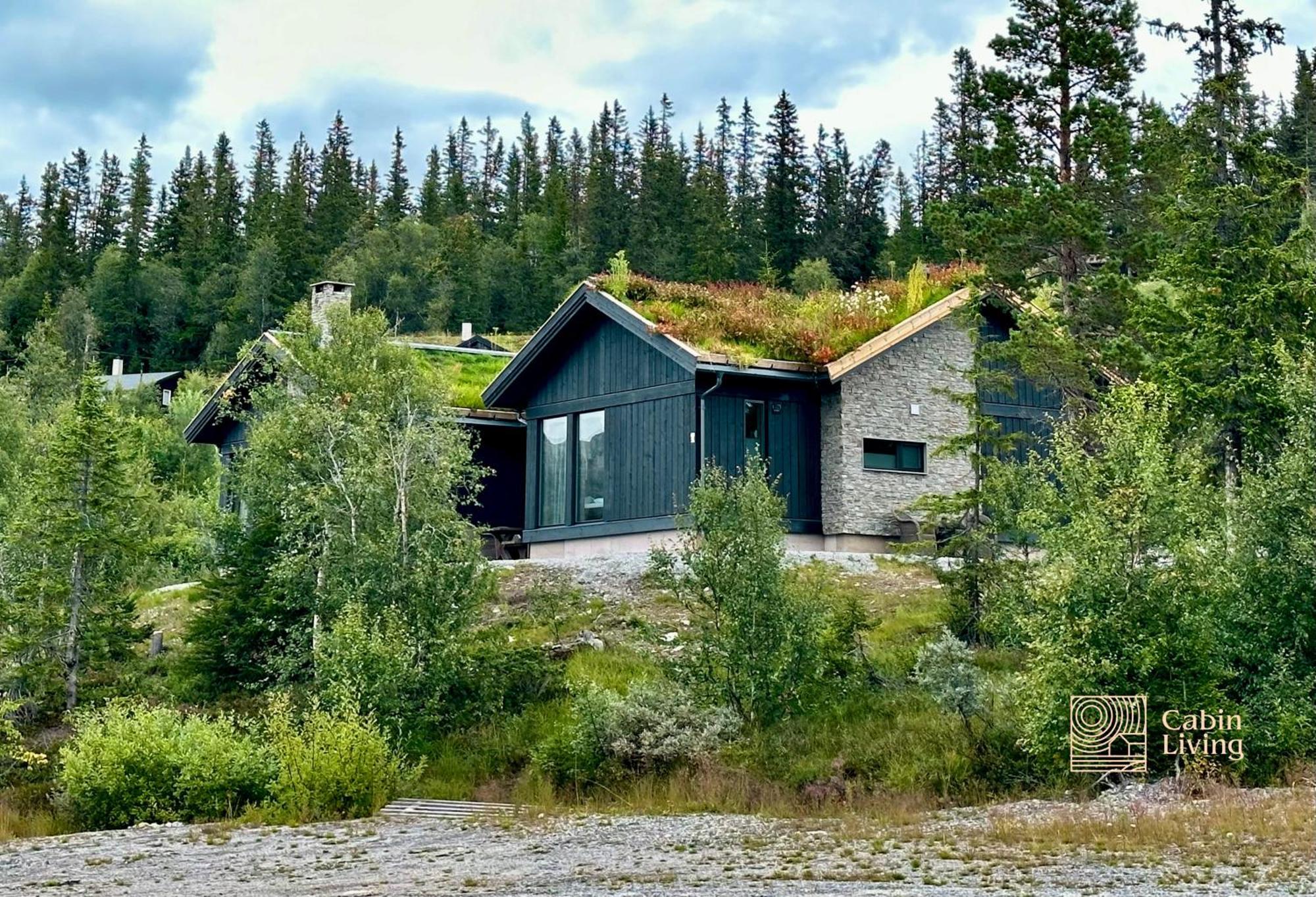 Brand New Cabin On The Sunny Side Of Gaustatoppen With A Great View Tuddal Eksteriør billede